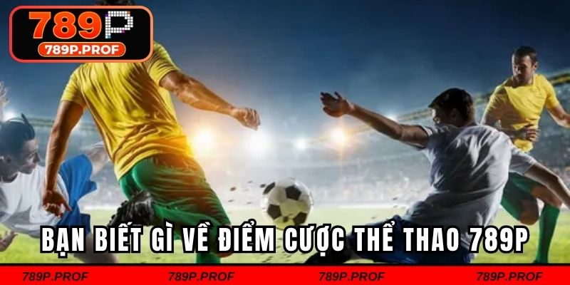 Bạn biết gì về điểm cược thể thao 789P