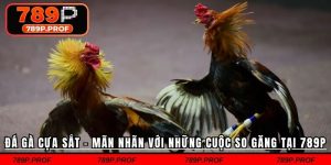 Đá Gà Cựa Sắt