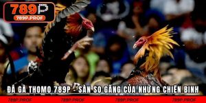 Đá Gà Thomo 789P