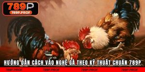 Cách Vào Nghệ Gà