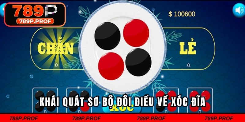 Khái quát sơ bộ đôi điều về xóc đĩa