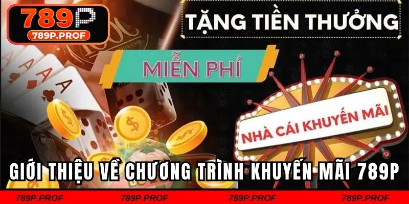 Giới thiệu về chương trình khuyến mãi 789p