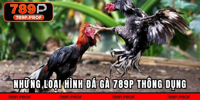 Những loại hình đá gà 789P thông dụng
