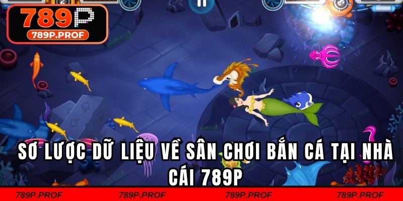 Sơ lược dữ liệu về sân chơi bắn cá tại nhà cái 789P