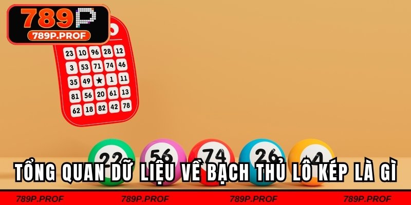 Tổng quan dữ liệu về bạch thủ lô kép là gì